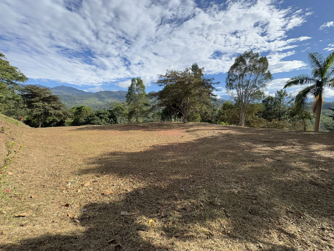 Stunning 2.4 Acre Property in Quebradas San Isidro del General - Gallery image 22