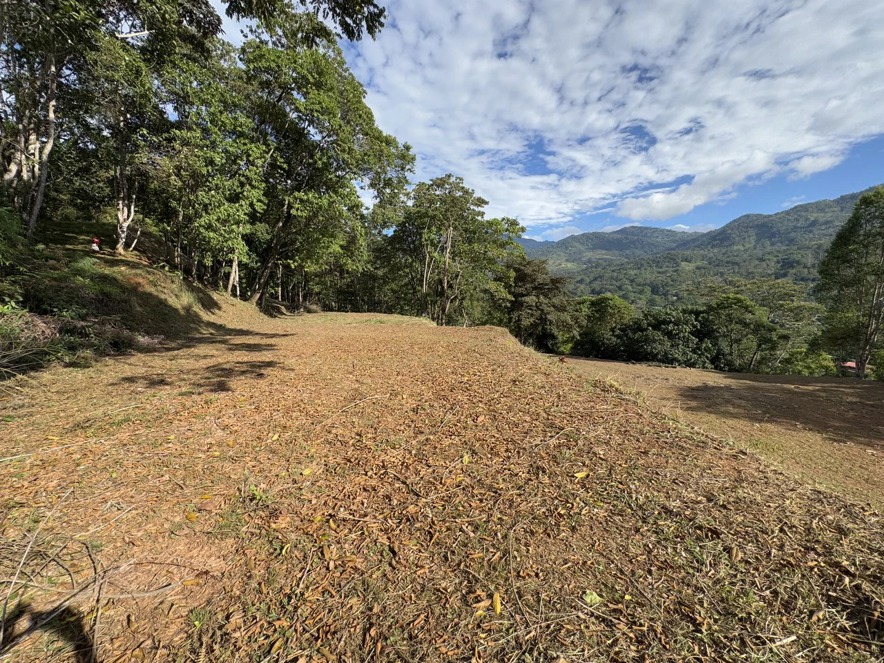 Stunning 2.4 Acre Property in Quebradas San Isidro del General - Gallery image 24