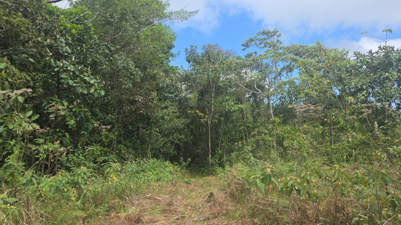Expansive Year-Round Green Agricultural Property with Rolling Hills and a River – One Hour from Liberia - Gallery image 7