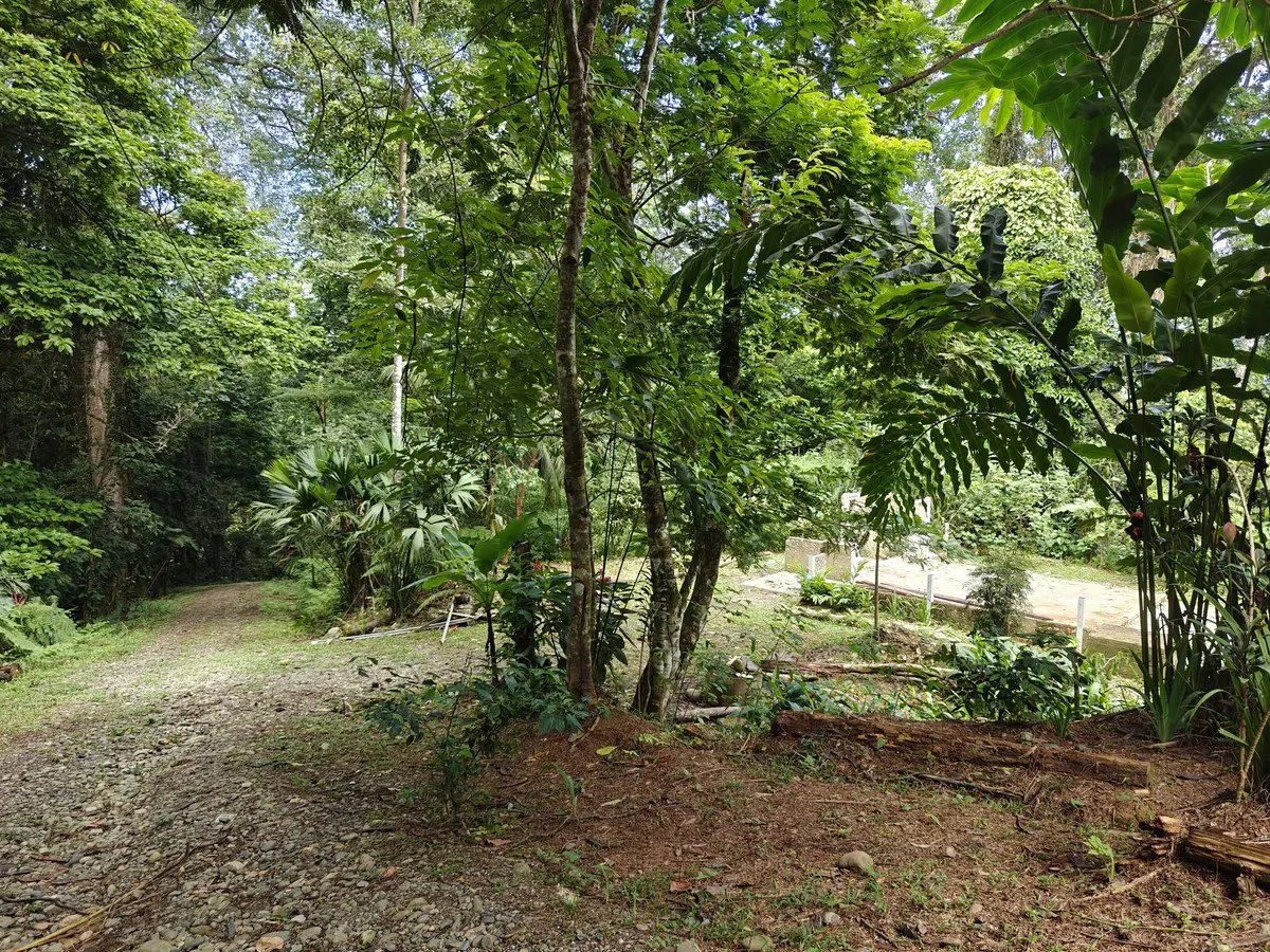 ID 708: Lot 3 - 5377 sqm Mountain Edge Sanctuary - Gallery image 2