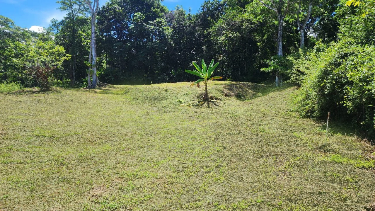 1.25 ACRES – Stunning Ocean View Oasis: Exclusive Property With Premium Amenities!!!! - Gallery image 6