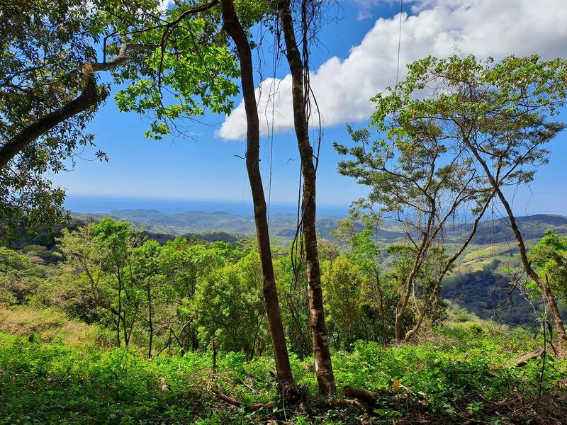 Lote Mirador # 2: Breathtaking Lot with Stunning Ocean Views, Large Building Pad, just 30 minutes from Samara Beach - Gallery image 3