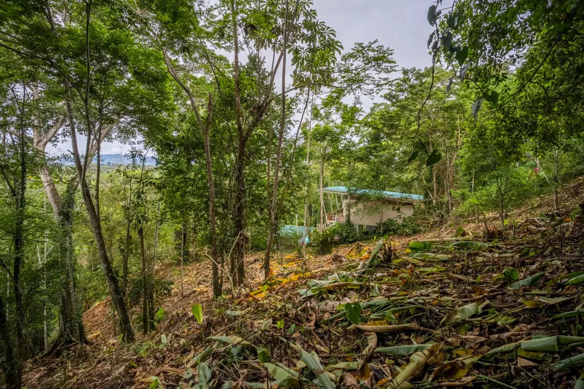 ID 1084: 5,500 sqm Lot with Mountain View in Iriria 1, Punta Uva - Gallery image 8