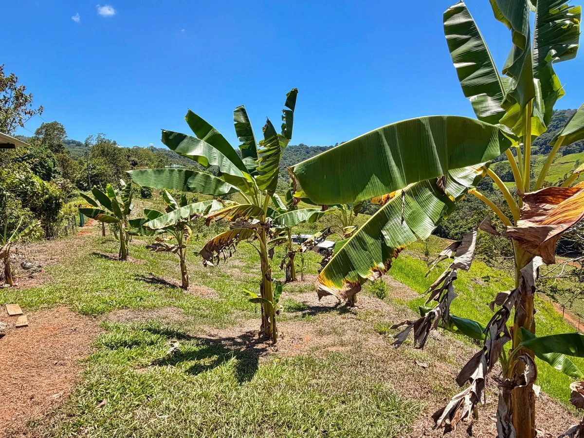 8.77 ACRES – Private Land Just 20 Min to Dominical, Beautiful Mountain Views, Legal Water, Electricity, Public Road, Private Setting, Ready to Build!!!! - Gallery image 15