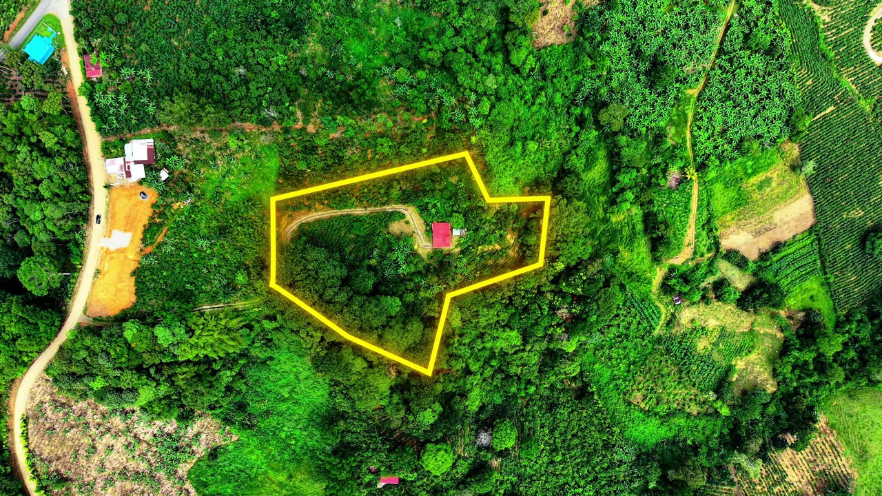 FINCA CON CASA Y MIRADOR: Mountain Agricultural Land For Sale in La Amistad - Gallery image 3