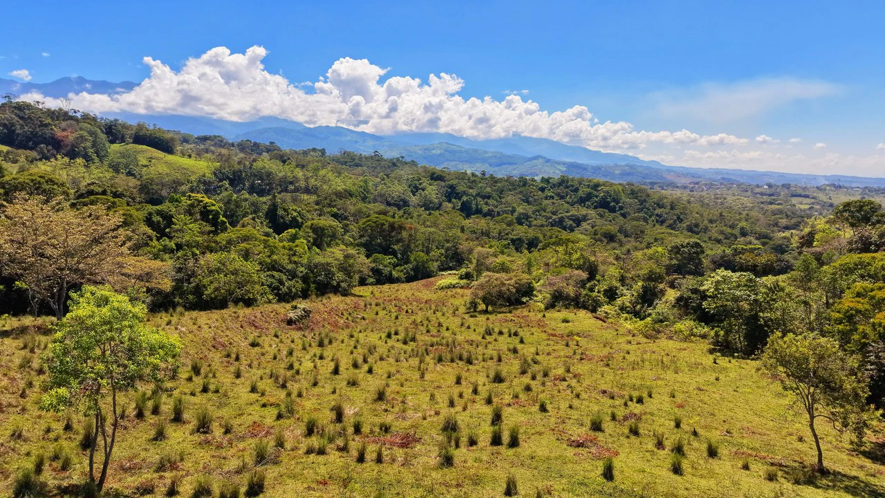 Agricultural Land For Sale in MORAZAN - Gallery image 19