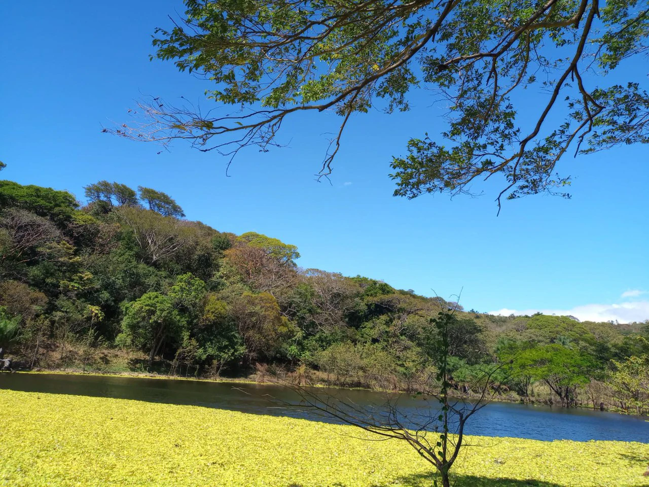 Finca Los Angeles: JUST REDUCED ! 281 Acre Farm with River, Lake, and Sunset views - Gallery image 2