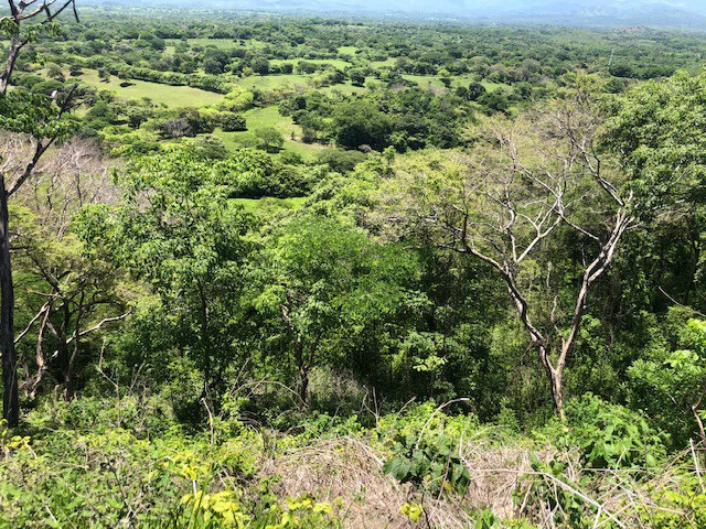 Amazing 50% discount for Huge ocean-view farm for sale surrounded by soft rolling hills and pristine nature - Gallery image 13