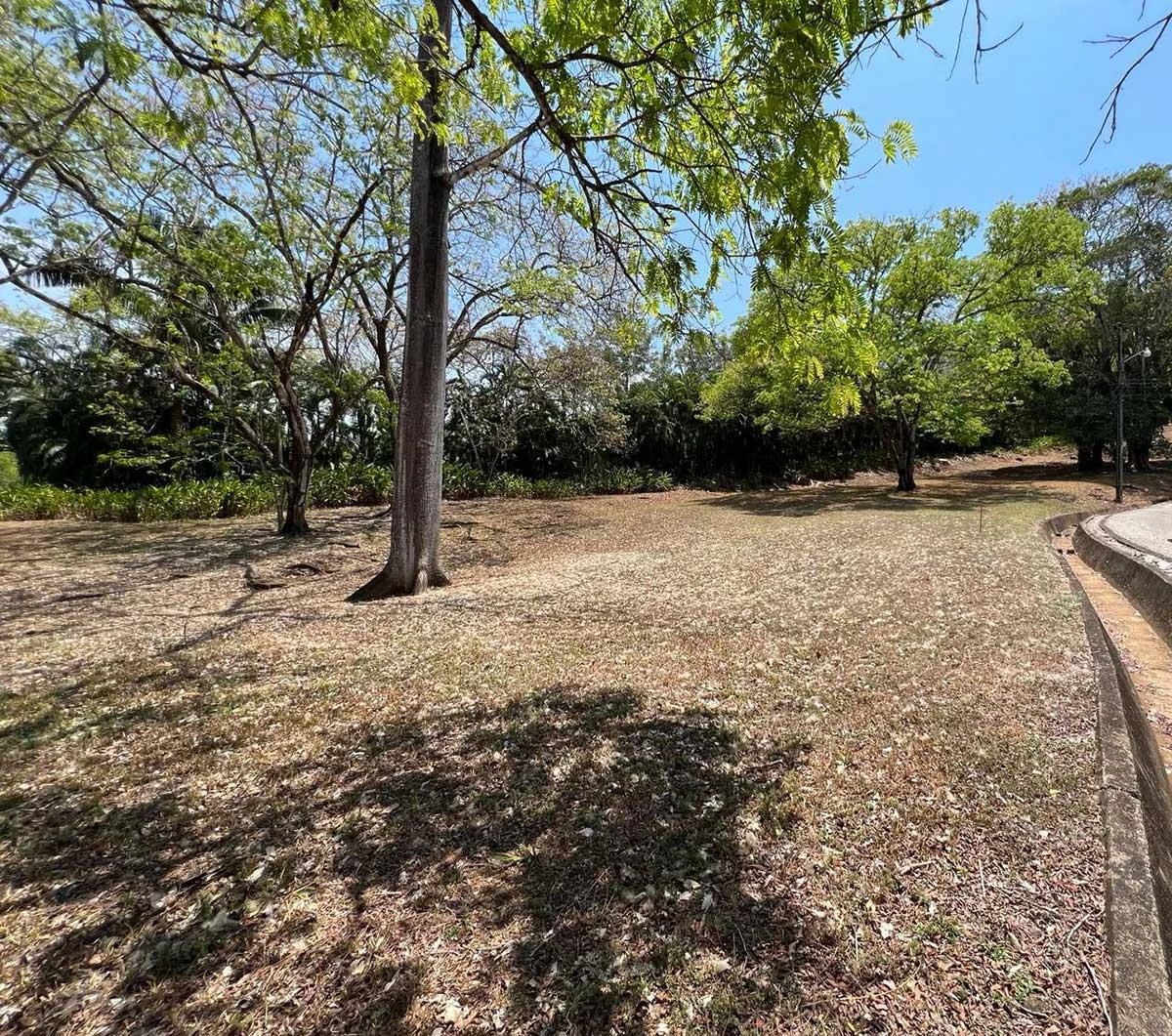 Loma Verde 29: Gated Community Building Lot - Gallery image 9