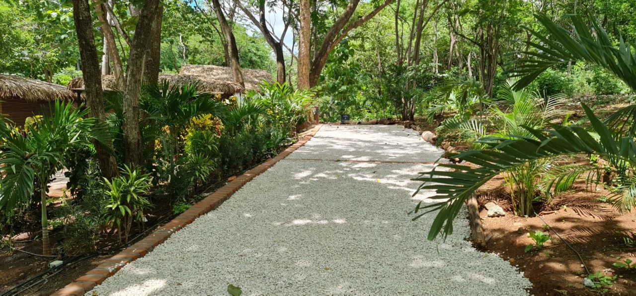 Successful Wellness and Spa with restaurant: One Of A Kind, Successful Wellness, Spa And Restaurant Oasis Close To Tamarindo - Gallery image 30
