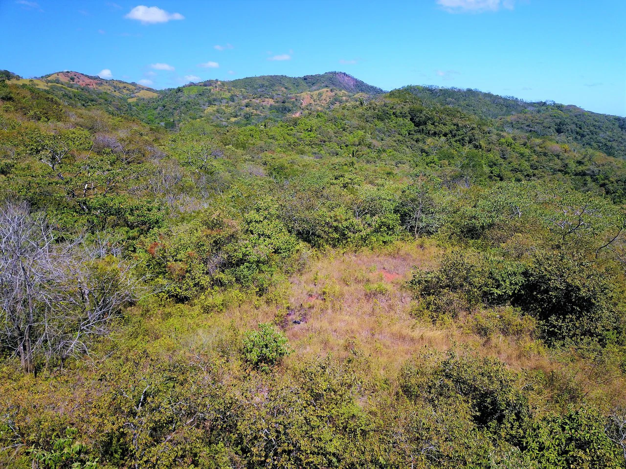 Puesta del Sol: Ocean View Lot - Gallery image 5
