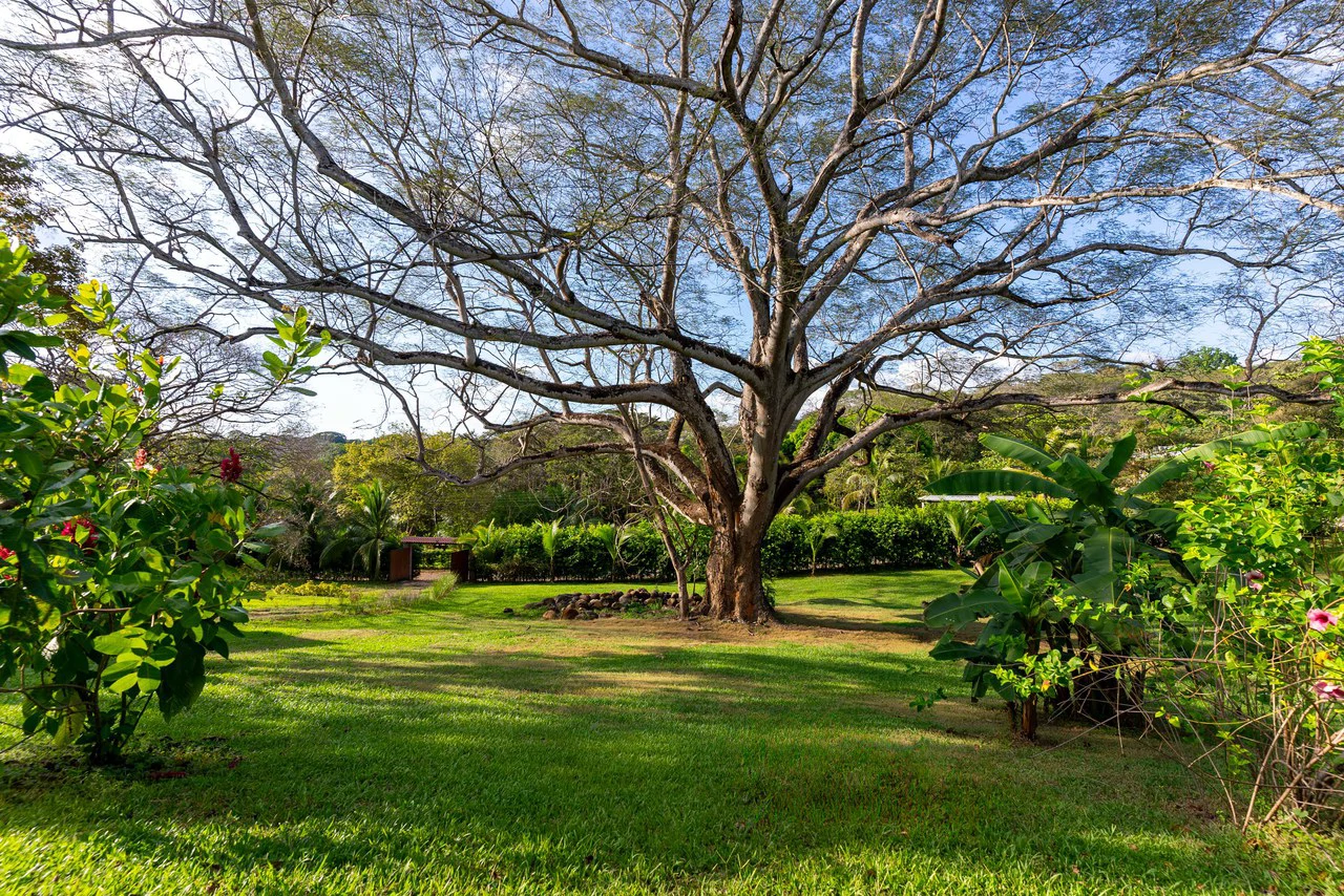 Property for Sale in Orotina, Costa Rica: Nature and Privacy - Gallery image 31