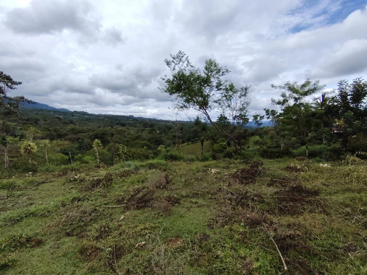 PROPIEDAD EN VENTA, UBICADA EN SANTA ELENA, PEREZ ZELEDON: Mountain Home Construction Site For Sale in Cajón - Gallery image 15