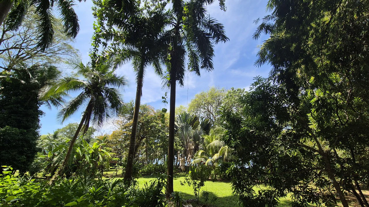 Dream Beachfront Property at Ballena Beach in Uvita, Costa Rica - Gallery image 7