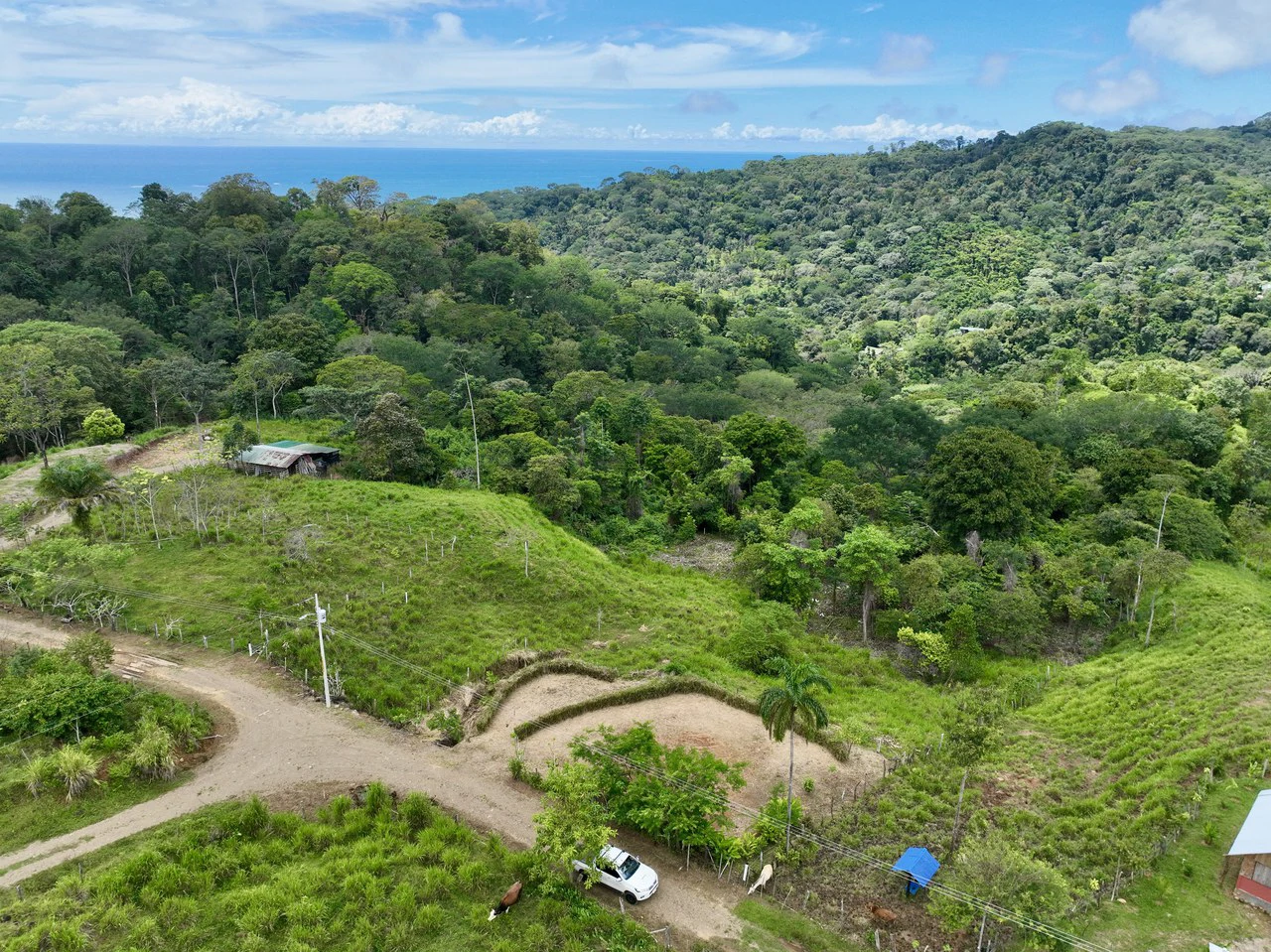 Spring and Waterfall!  3,2 Acres lot in Uvita Mountains - Gallery image 5