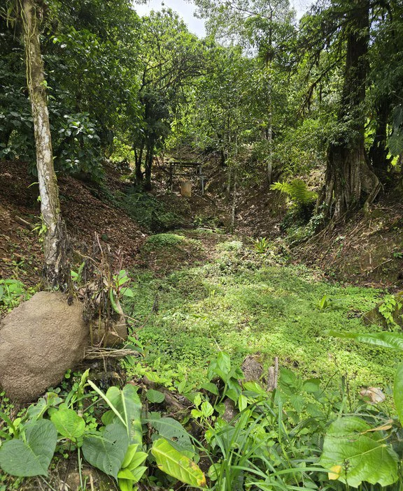 Mountain and Countryside Agricultural Land For Sale in San Isidro del General - Gallery image 11