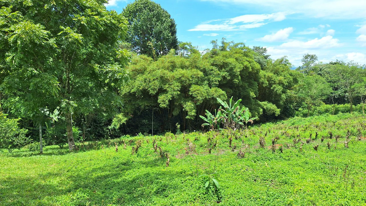 SE VENDE PROPIEDAD DE 5.5HA, SANTA MARTA DE CAJÓN, PEREZ ZELEDON.: Mountain Home Construction Site For Sale in Cajón - Gallery image 8