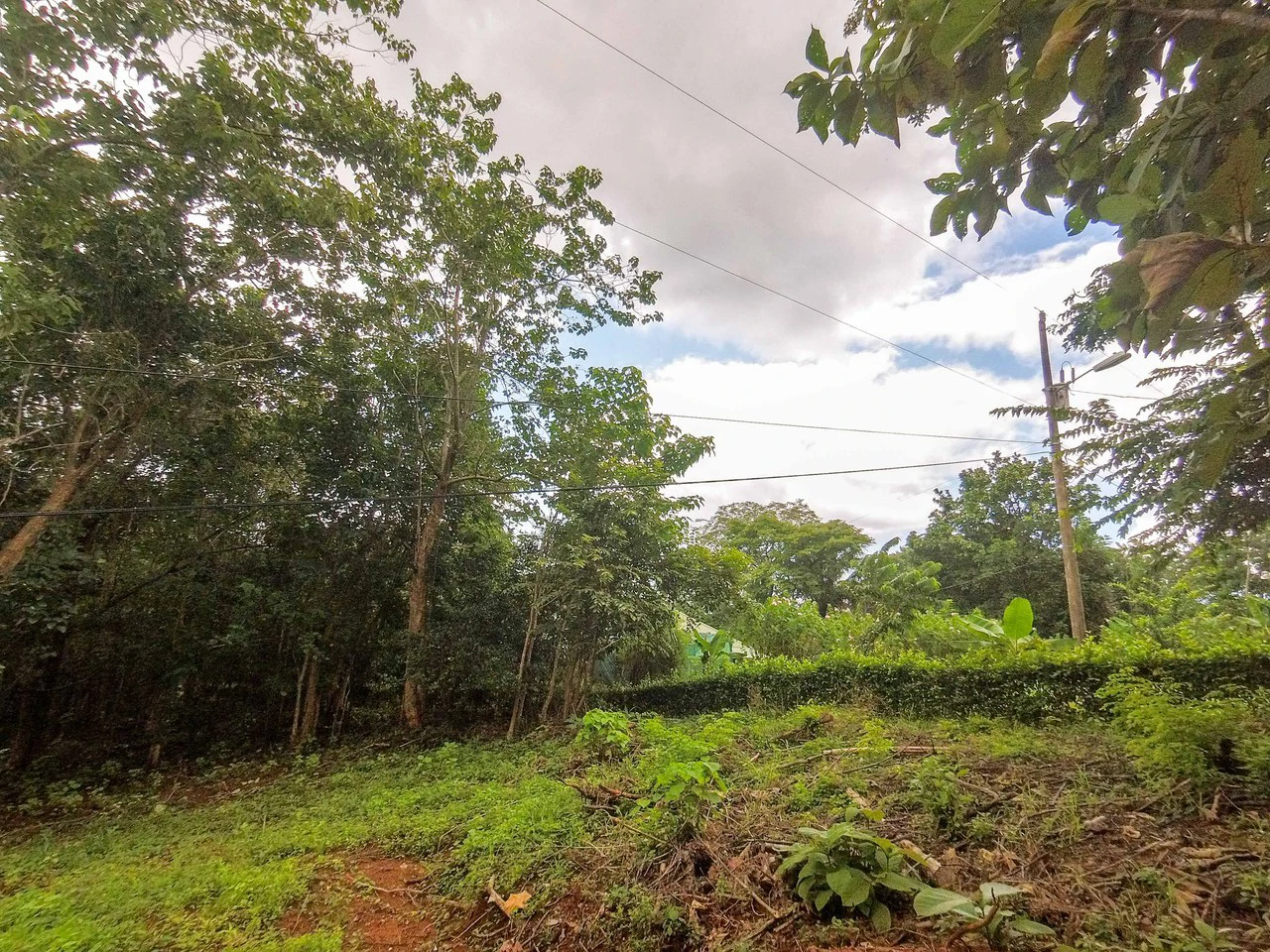 Lot Limon Dulce: Countryside Home Construction Site For Sale in Playa Samara - Gallery image 6