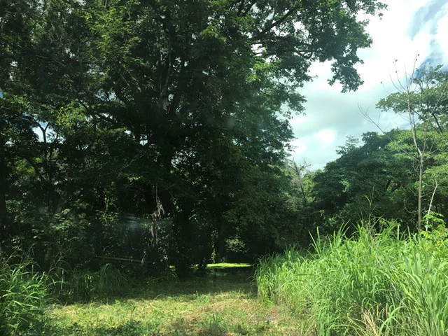 Large Development Land for Sale in Liberia, Guanacaste, Costa Rica - Gallery image 15