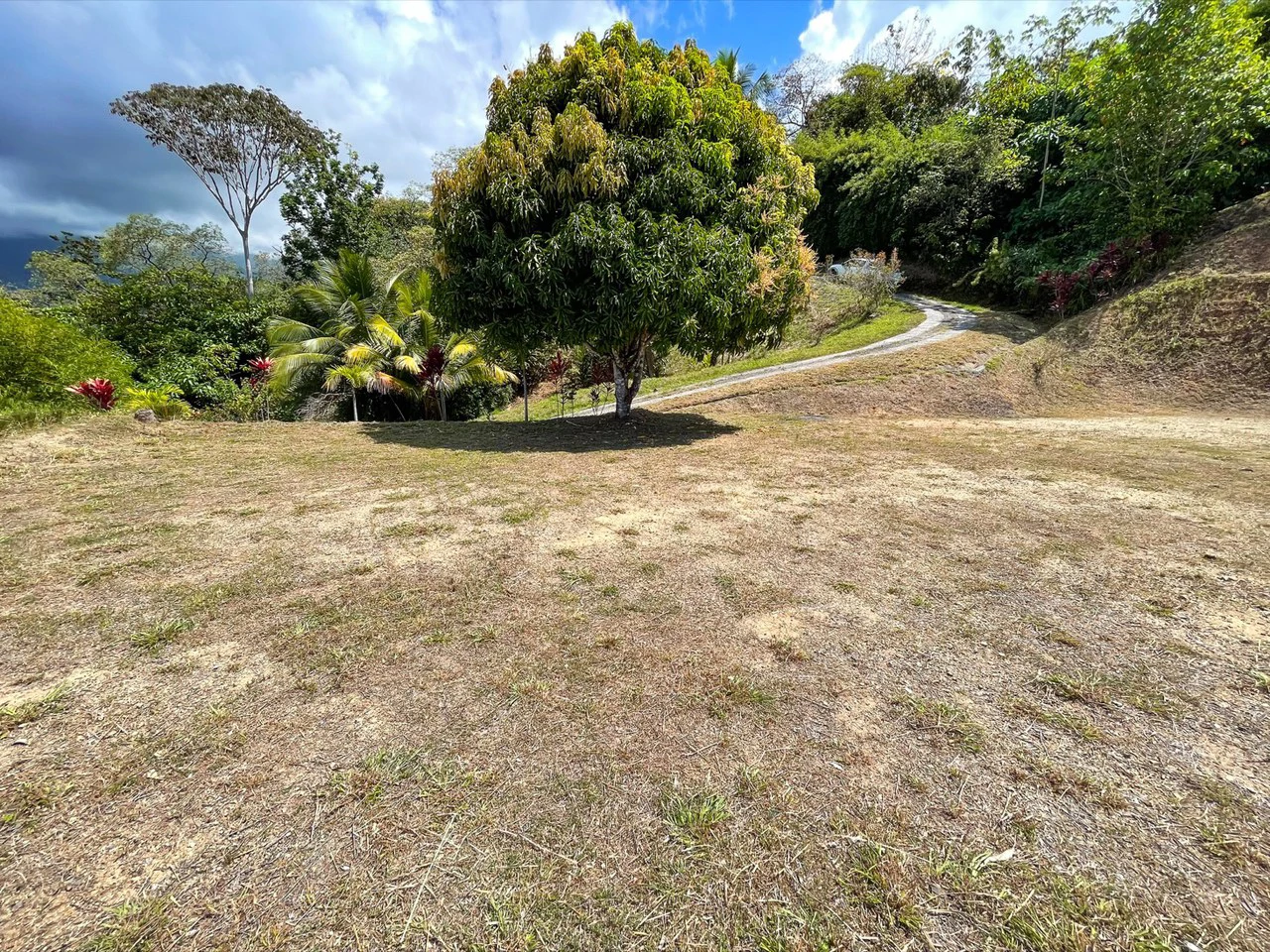 Whitewater Ocean View Front Ridge Land in Ojochal - Gallery image 15