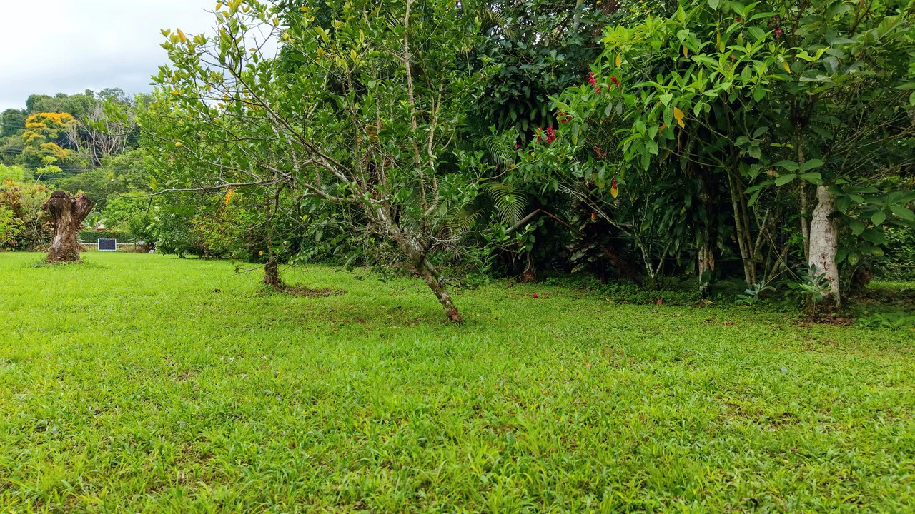 LOTE PLANO CON FRUTALES: Mountain Home Construction Site For Sale in General Viejo - Gallery image 6