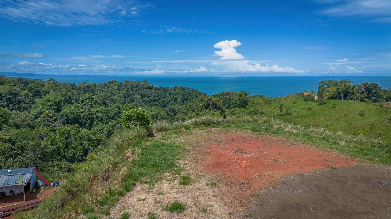 Luxury Ocean View Lot in Piñuelas - Premier Building Site - Gallery image 33