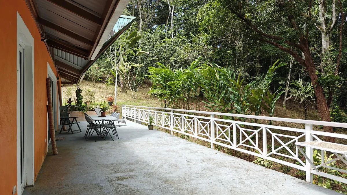 ID 1055: Elevated Jungle Residence on Expansive Riverfront Jungle Land - Gallery image 6