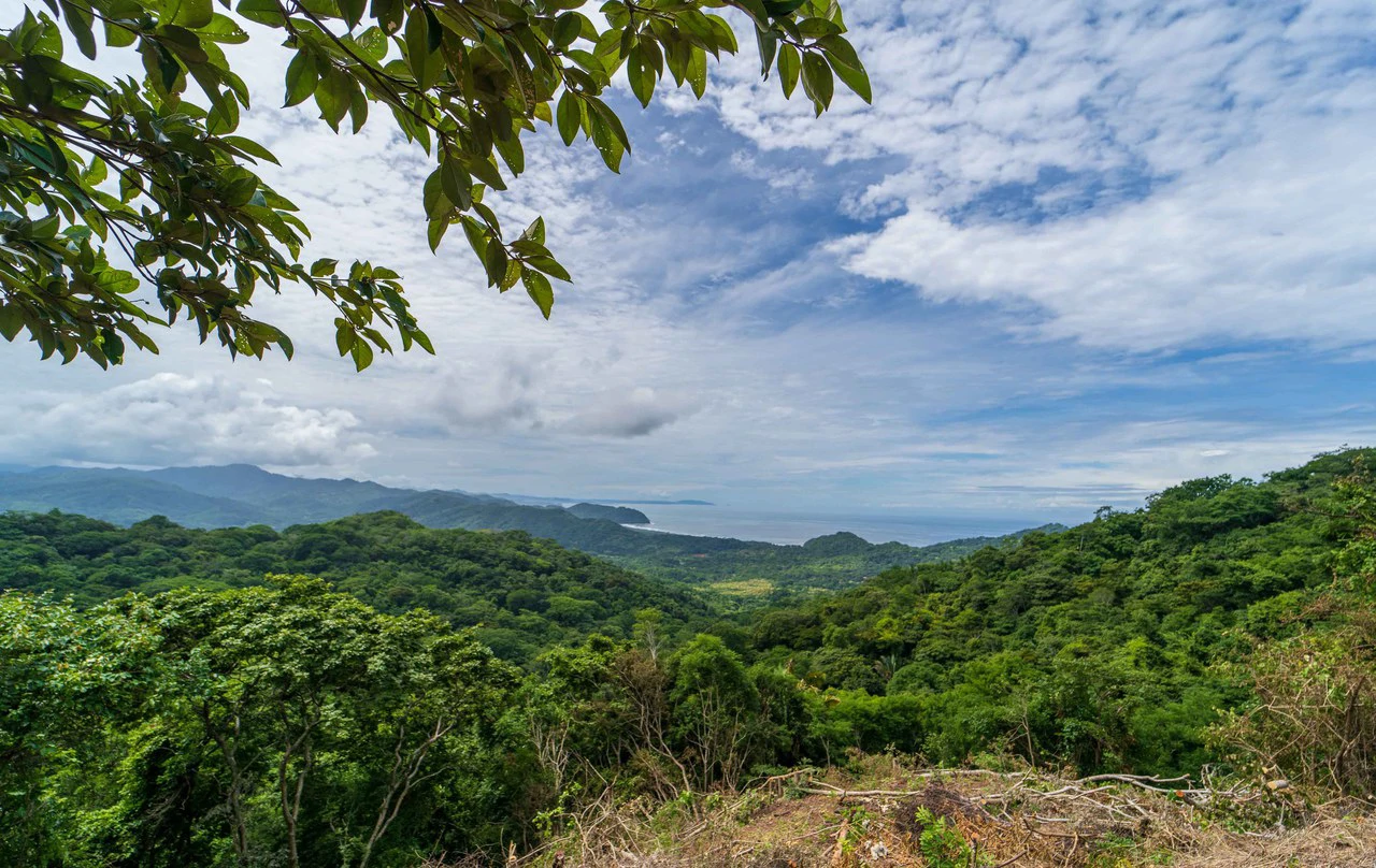 Lote Peninsula Ocean View Lot with Building Permits and Plans - Gallery image 8