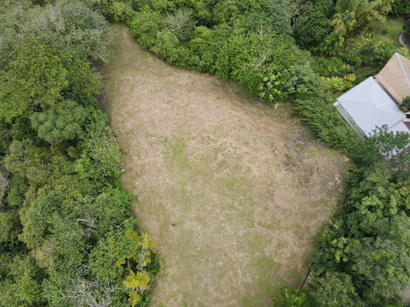 Panoramic 180 Degree Ocean View Lot Ready To Build Close To Ojochal - Gallery image 38