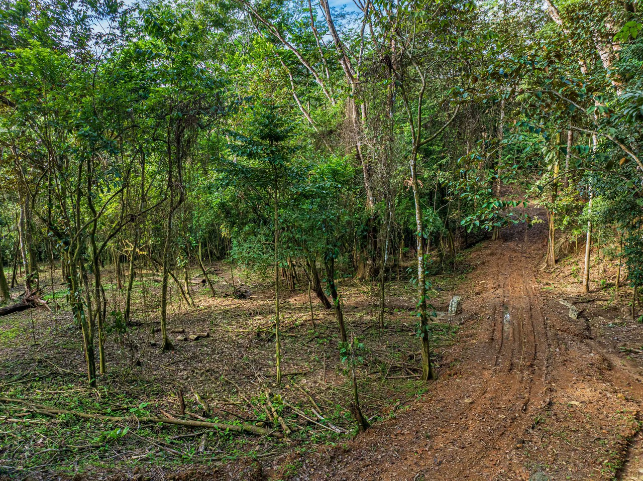 Rare 86-Acre Ocean View Estate Bordering Hacienda Barú – A Unique Opportunity for Conservation and Development - Gallery image 10
