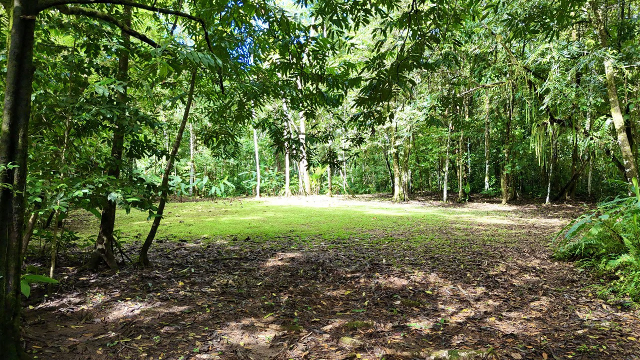 Selva Vista Estate: 5.9 Acres of Wild Beauty - Gallery image 17
