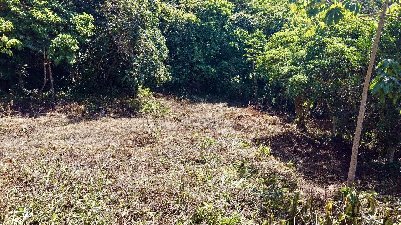 Home Construction Site For Sale in Pavones - Gallery image 31