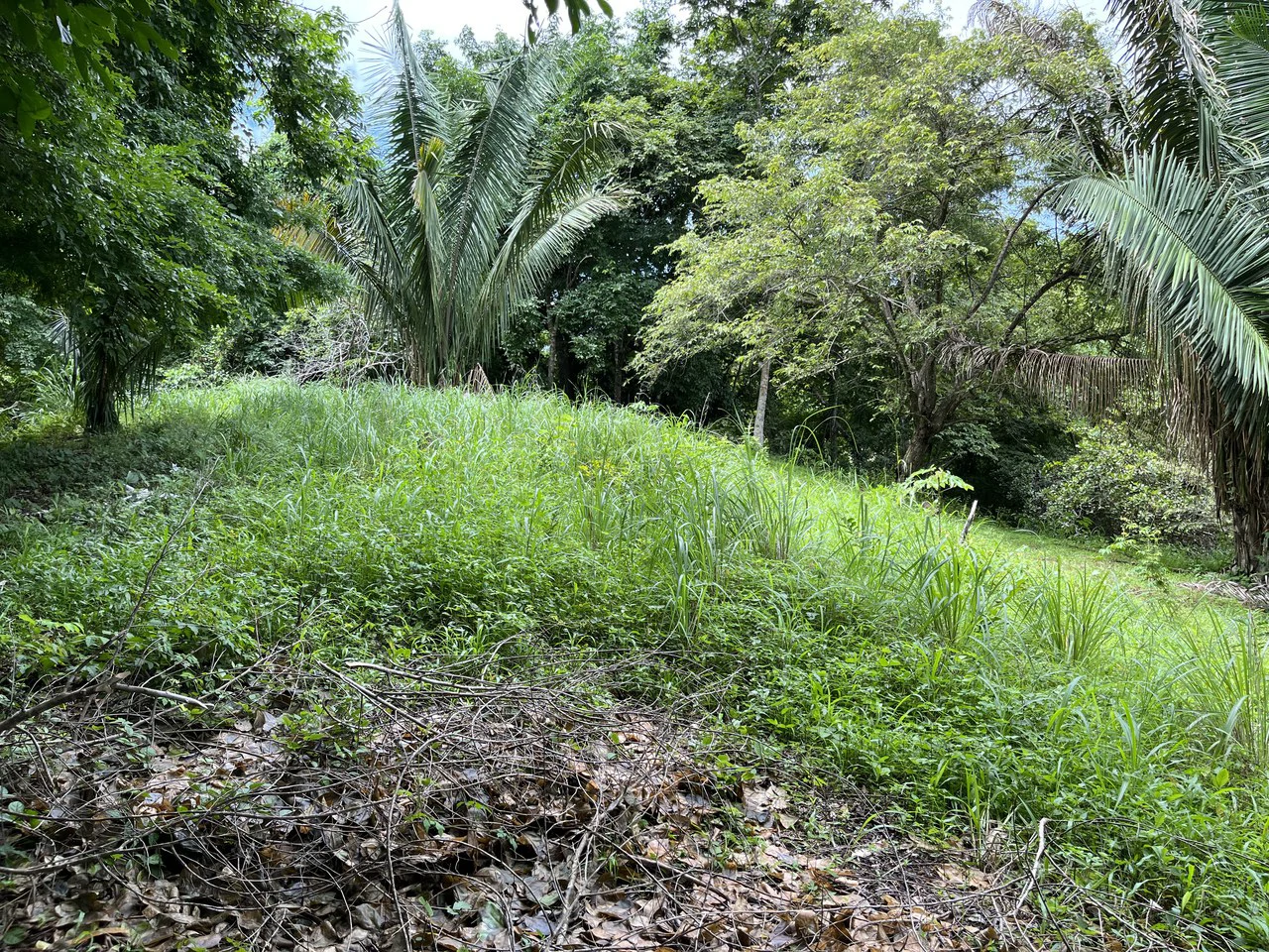 6 Acres Ready for Development in Samara - Gallery image 3