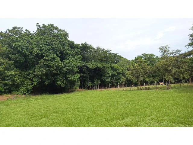 Charming Tico Home with Beautiful Green Garden for Sale in Bagaces - Gallery image 13