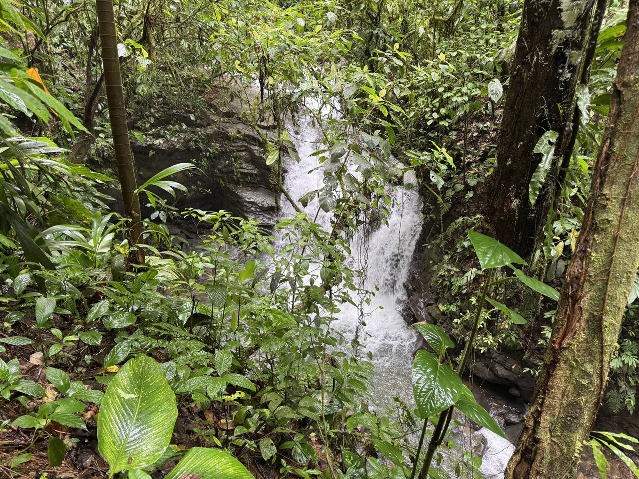 19 Acre Riverfront Lot with Private Waterfall la Perla Dominical - Gallery image 18