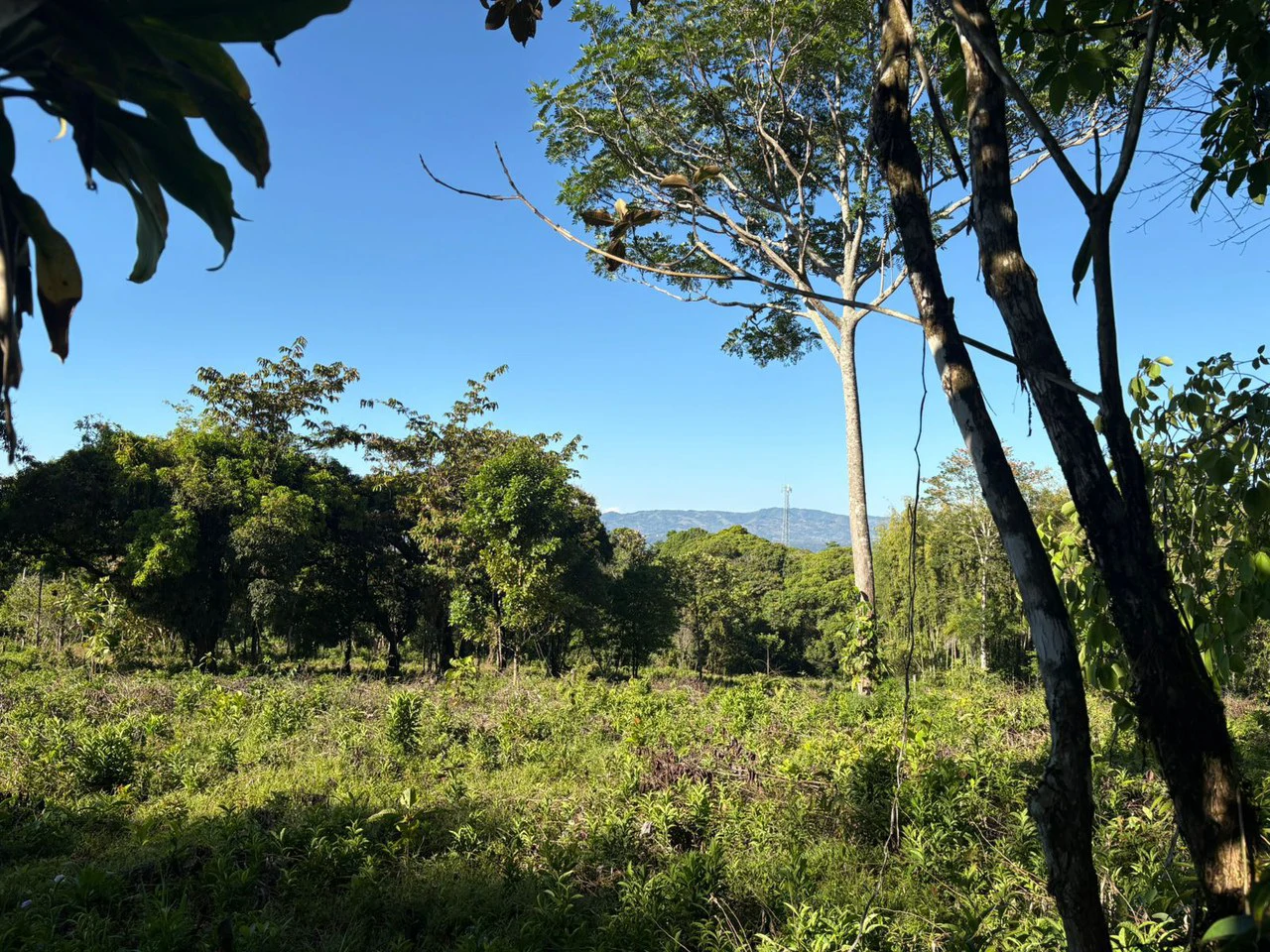 Countryside Home Construction Site For Sale in Cajón - Gallery image 3