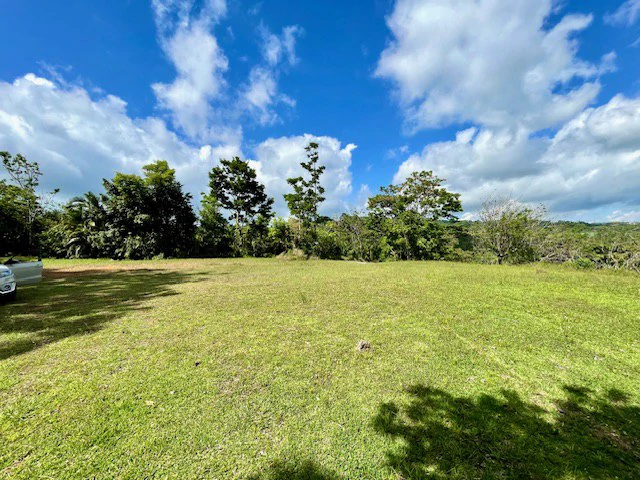 LG-002 Terreno Top Nuevo Arenal: Premium 1.45-Acre Gated Homesite in Nuevo Arenal | Panoramic Lake & Volcano Views, Private Boat Dock & Clubhouse - Gallery image 12