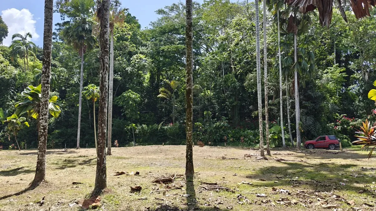 ID 949: 1,547 sqm Build-Ready Lot Near Cahuita and Playa Grande