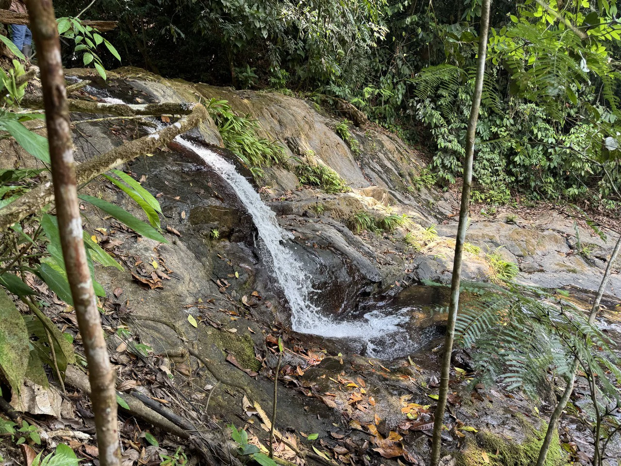 50 Acre Waterfall and River Paradise Above Dominical - Gallery image 42