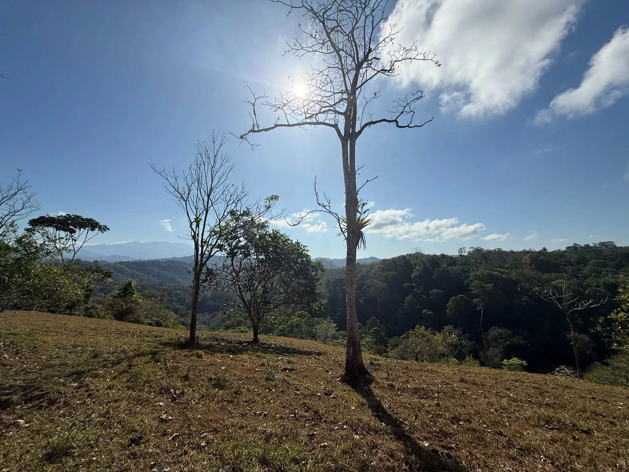 11.4 Hectare Mountain Estate: Lush Forest, River & Farm Potential in Arenal Puriscal , San Jose - Gallery image 5
