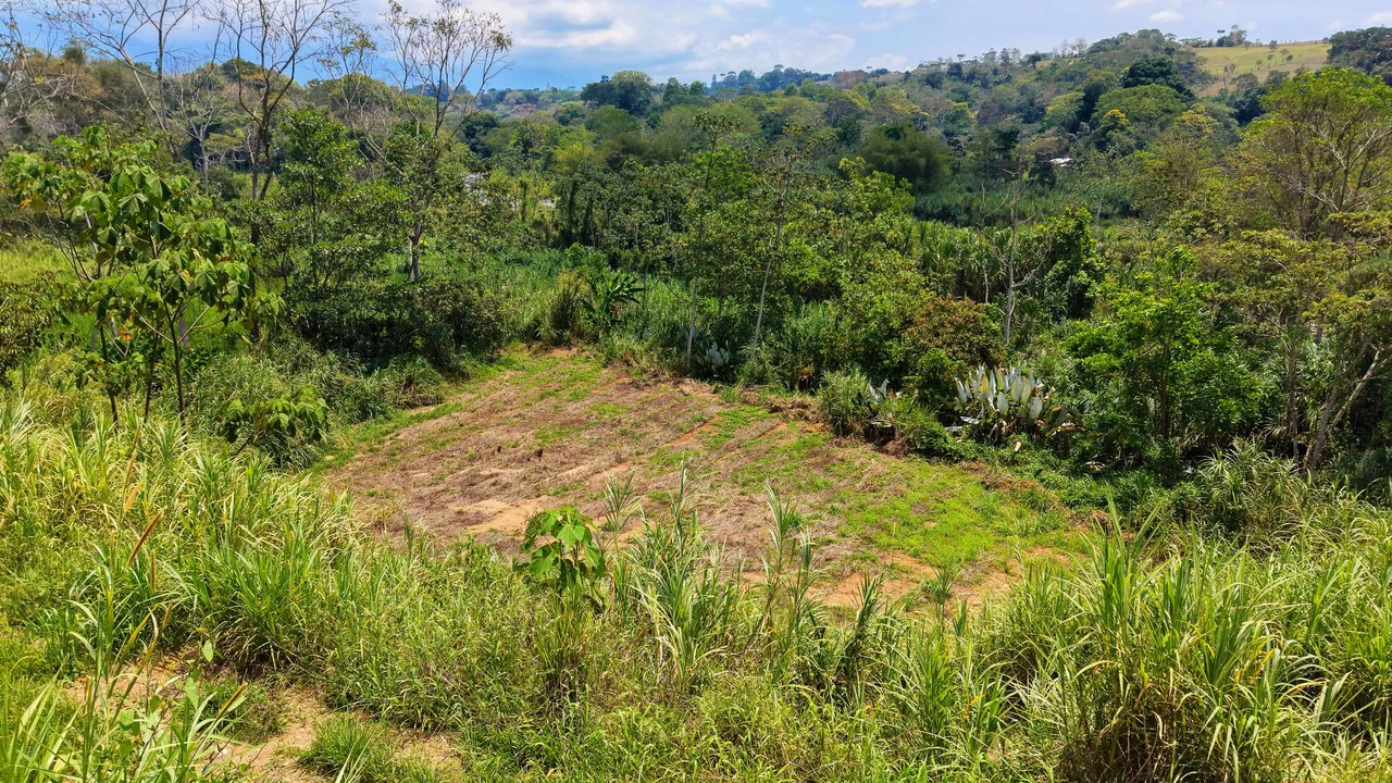 Countryside Home Construction Site For Sale in San Pedro - Gallery image 3