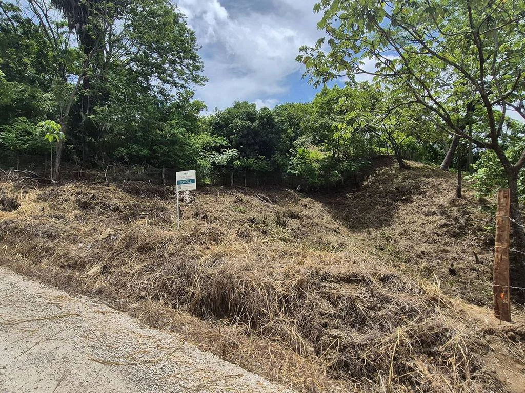 Lote Pilar: Affordable Building Lot Near Sámara - Gallery image 3