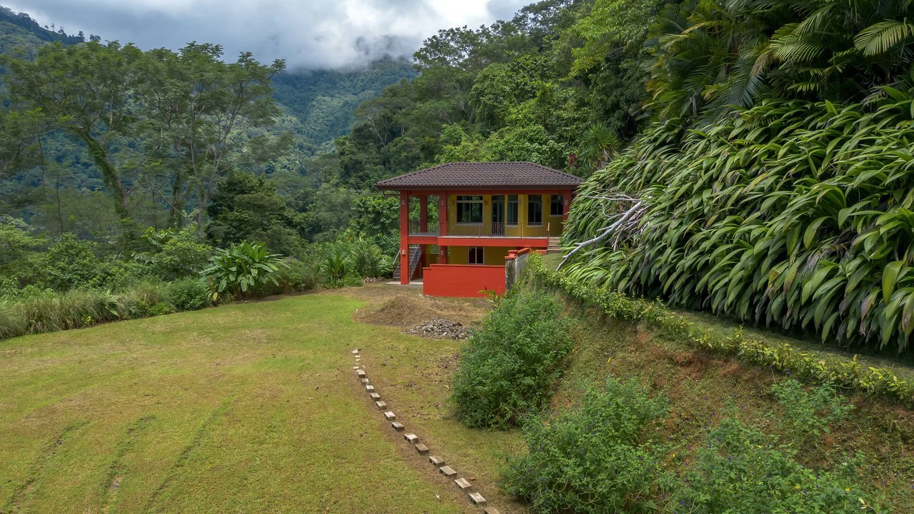 Build-Ready Ocean View Land with Guest House & Fruit Orchard | Tres Rios, Costa Rica - Gallery image 16