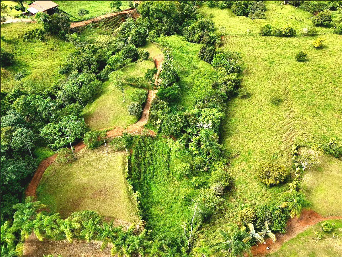 Mountain Home Construction Site For Sale in Miravalles
