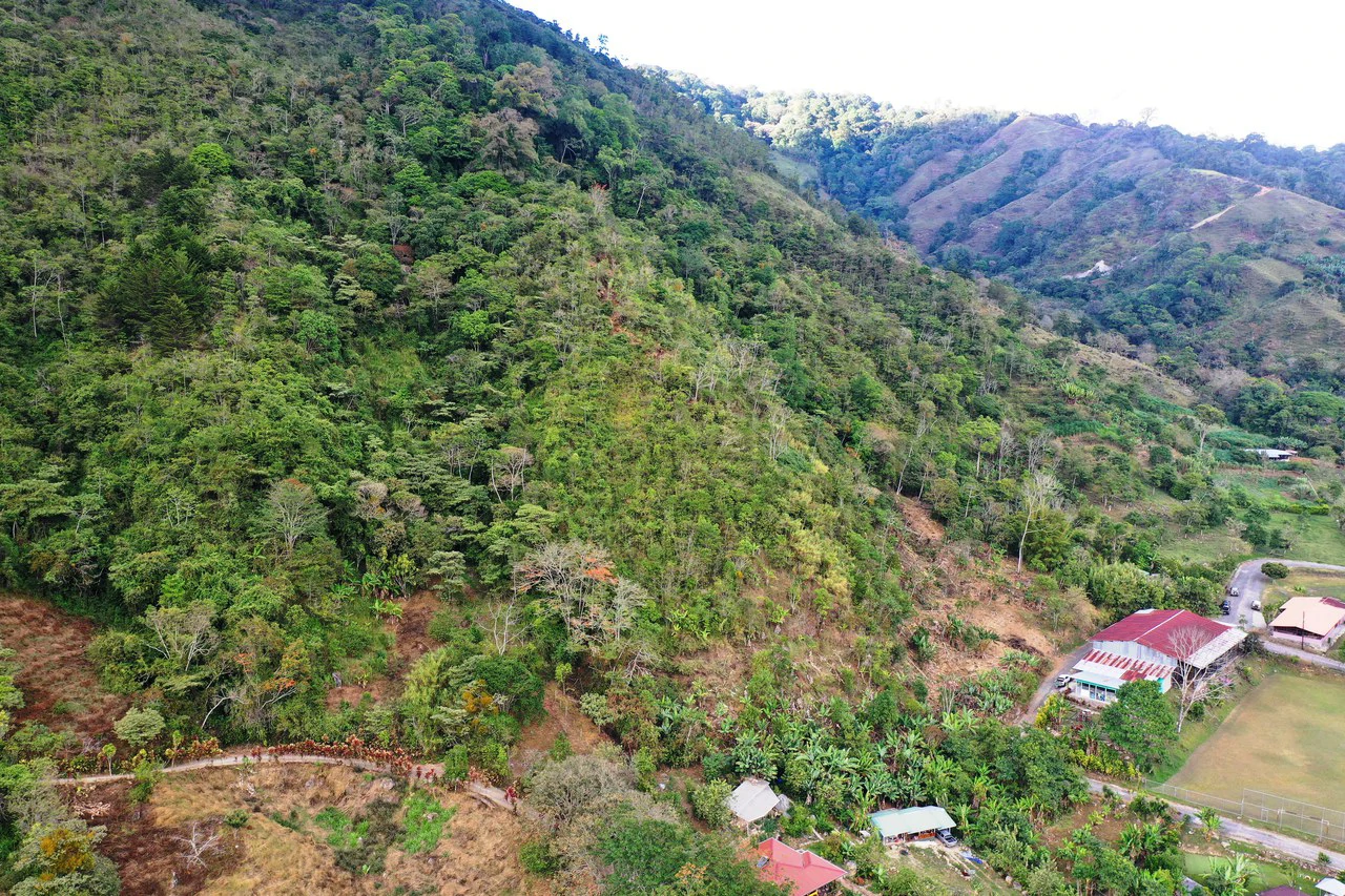 Canaan de Rivas 10 acres Above San Isidro - Gallery image 15