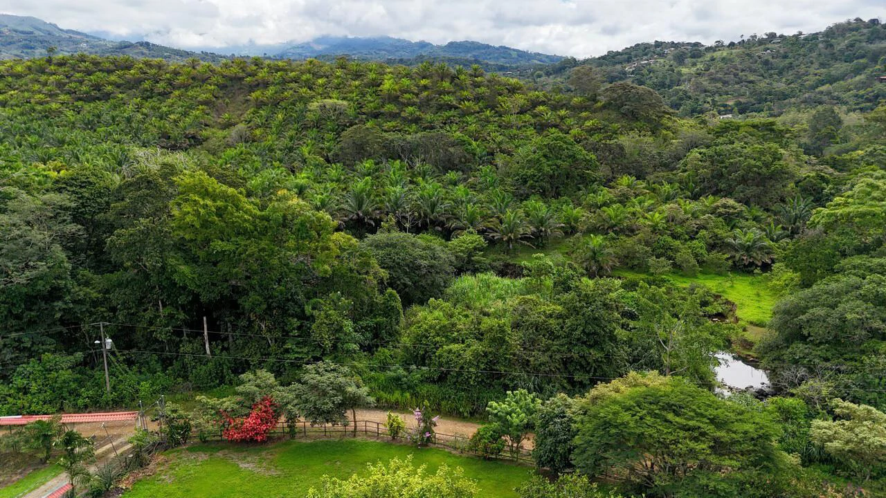 Charming Hardwood Cabin with Fruit Garden Near San Isidro - Gallery image 17