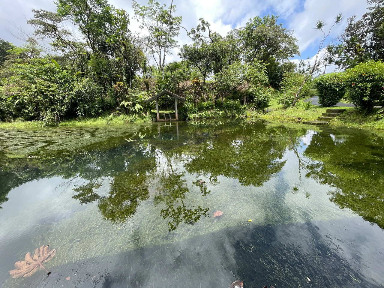 Magnificent 65-acre (26-hectare) estate, featuring a canopy tour, two homes, horses, walking trails, and 14 build-ready platforms. - Gallery image 41