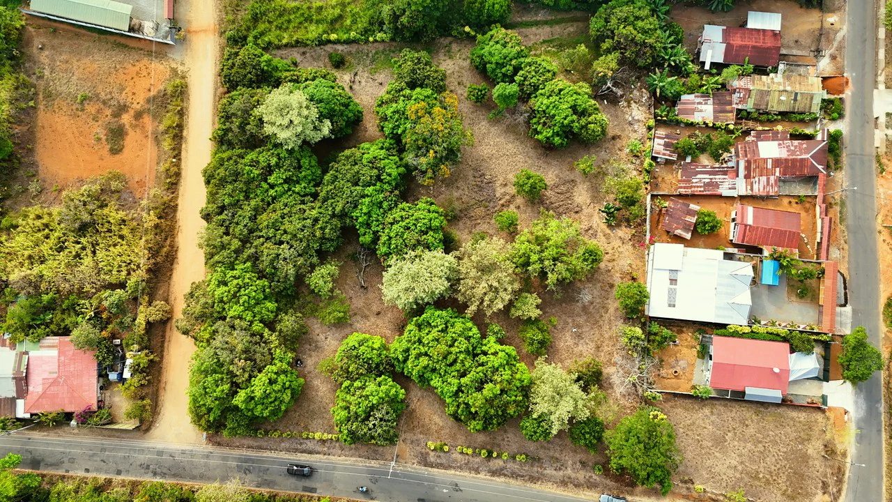 FRUIT TREE PROPERTY FOR SALE: Home Construction Site For Sale in San Isidro del General - Gallery image 2