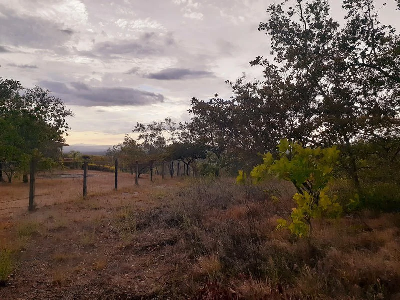T37: Mountain Home Construction Site For Sale in Curubandé - Gallery image 7