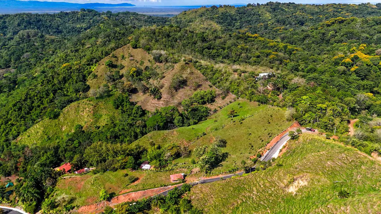 32 Acre Self Sustainable Farm with House Close Ojochal - Gallery image 64